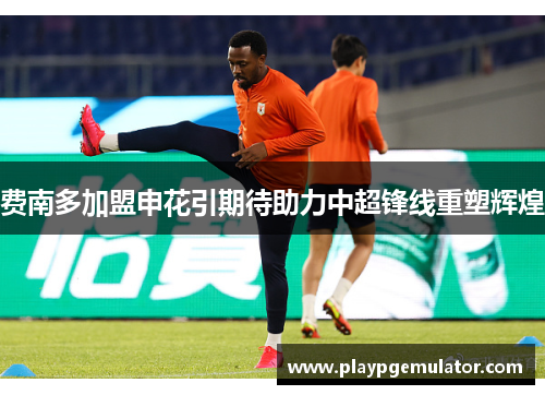 费南多加盟申花引期待助力中超锋线重塑辉煌