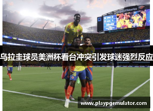 乌拉圭球员美洲杯看台冲突引发球迷强烈反应