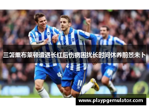 三笘薰布莱顿遭遇长红后伤病困扰长时间休养前景未卜