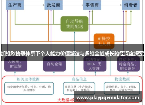 加维欧协联体系下个人能力价值塑造与多维全域成长路径深度探索